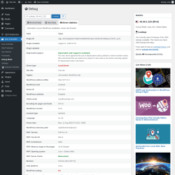 Page screenshot: Geo Controller → Debug Mode →  Server statistics