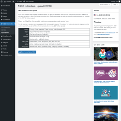 Page screenshot: SEO Redirection → Import/Export