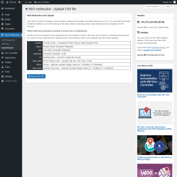 Page screenshot: SEO Redirection → Import/Export