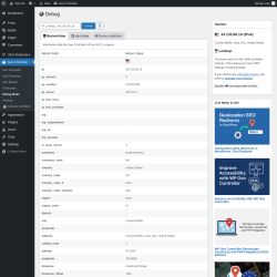Page screenshot: Geo Controller → Debug Mode