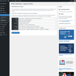 Page screenshot: SEO Redirection → Import/Export