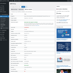 Page screenshot: Geo Controller → Debug Mode →  Server statistics
