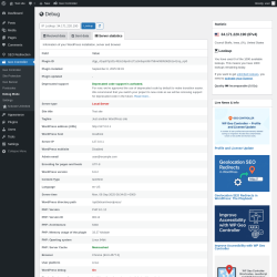 Page screenshot: Geo Controller → Debug Mode →  Server statistics