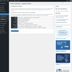 Page screenshot: SEO Redirection → Import/Export