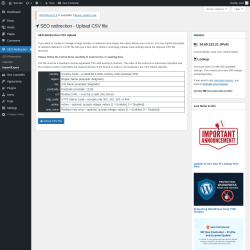 Page screenshot: SEO Redirection → Import/Export