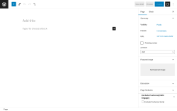 Page screenshot: Add New Page ‹ Test site — WordPress