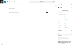 Page screenshot: Add New Post ‹ Test site — WordPress