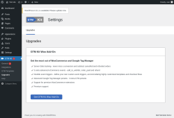 Page screenshot: GTM Kit 1 → Upgrades