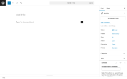 Page screenshot: Add Post ‹ Test site — WordPress