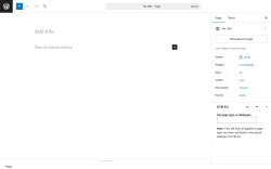 Page screenshot: Add Page ‹ Test site — WordPress