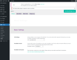 Page screenshot: Mesh → Settings