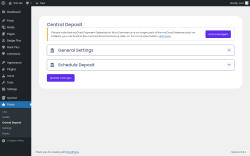 Page screenshot: Points → Central Deposit