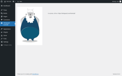 Page screenshot: Vikinguard Console