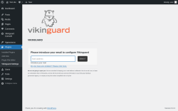Page screenshot: Plugins  → Vikinguard  Settings