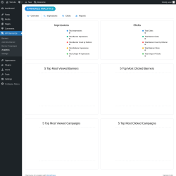 Page screenshot: WP Bannerize → Analytics