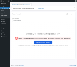 Page screenshot: WP EASY PAY → Square Connect