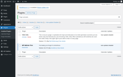 Page screenshot: Plugins ‹ Test site — WordPress