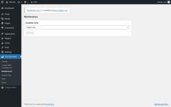 Page screenshot: Trip Summary → Maintenance