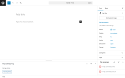 Page screenshot: Add Post ‹ Test site — WordPress