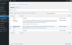 Page screenshot: Plugins ‹ Test site — WordPress