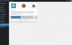 Page screenshot: Yet Another Stars Rating: settings ‹ Test site — WordPress