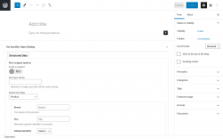 Page screenshot: Add New Post ‹ Test site — WordPress