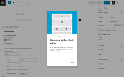 Page screenshot: Add New Post ‹ Test site — WordPress