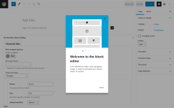 Page screenshot: Add New Page ‹ Test site — WordPress