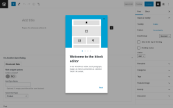Page screenshot: Add New Post ‹ Test site — WordPress