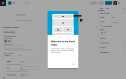 Page screenshot: Add New Page ‹ Test site — WordPress