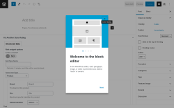 Page screenshot: Add New Post ‹ Test site — WordPress