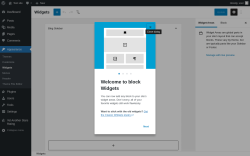 Page screenshot: Widgets ‹ Test site — WordPress