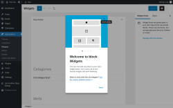 Page screenshot: Widgets ‹ Test site — WordPress