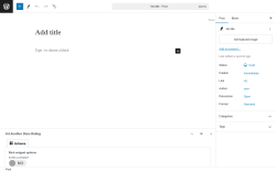 Page screenshot: Add New Post ‹ Test site — WordPress